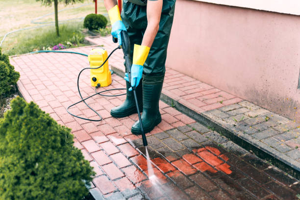 Best Driveway Cleaning and Restoration in La Presa, CA